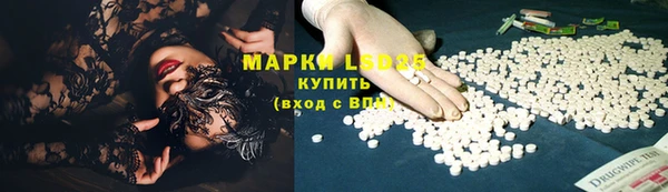 мяу мяу мука Аркадак