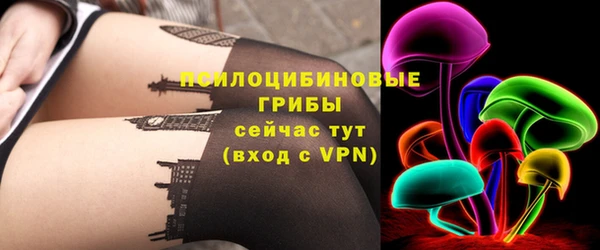 мяу мяу мука Аркадак