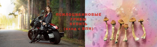 мяу мяу мука Арсеньев